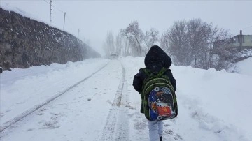 Muş ve Bitlis'te eğitime kar engeli