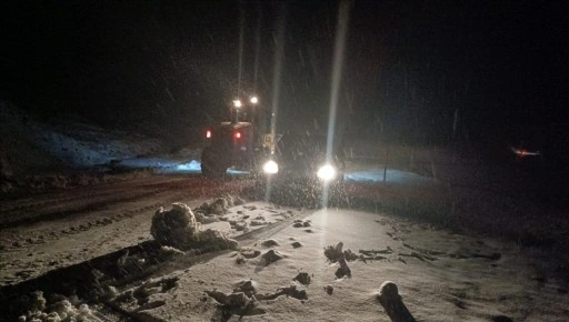 MuÅŸ ve Kars'ta kar etkili oluyor