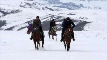 Muş'ta atlar kar üzerinde geleneksel yarışlara hazırlanıyor