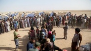 Musul'dan göç edebilecek aileler için 50 bin çadır hazırlandı