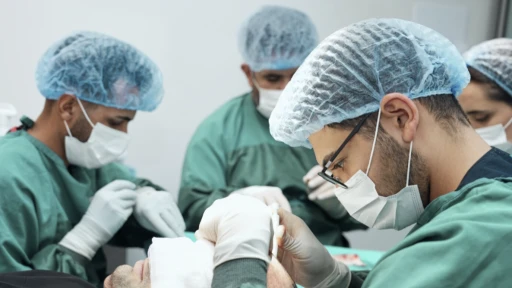 DHI Tekniği Sa&ccedil; Ekimi S&uuml;recini Nasıl Etkiliyor?