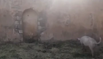 30 ildə Qarabağda məscidlər, ibadət yerləri darmadağın oldu. Amma ABŞ bunu g&ouml;rməzdən gəldi -İrada Calil yazdı-