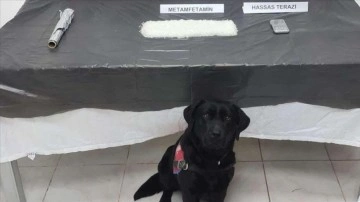 Narkotik köpeği 'Tumba' evin çatısında bir kilo metamfetamin buldu