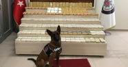 Narkotik köpeği Zeyna ile Lisa 86 kilo eroin yakalattı