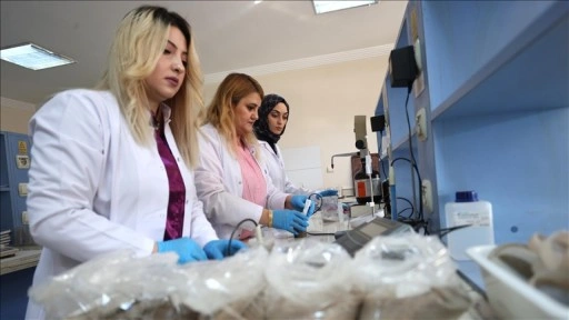 Nevşehir'de doğru toprak analiziyle kabak çekirdeği ile patatesin verim ve kalitesi arttı