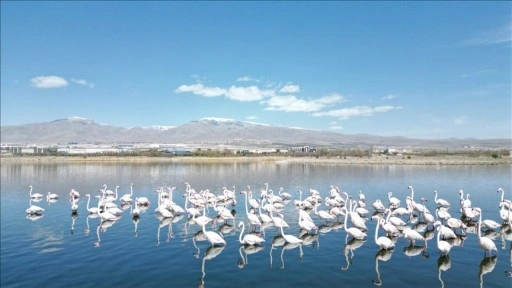 Niğde'deki barajların doluluk oranı kuraklık nedeniyle düştü