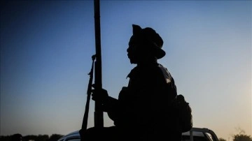 Nijer'de askeri hareketlilik yaşanıyor