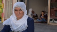 'Nobel Barış Ödülü, oğlunu terör örgütünden kurtaran Hacire anneye verilsin'