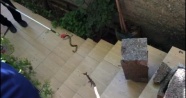 Nusaybin’de evin bahçesine giren yılanı itfaiye ekipleri yakaladı