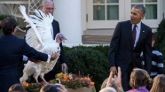 Obama, başkan olarak son kez hindi affetti