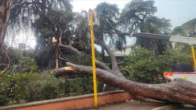 &Ouml;demiş'te devrilen dev ağa&ccedil; okulun bah&ccedil;e duvarında hasara sebep oldu