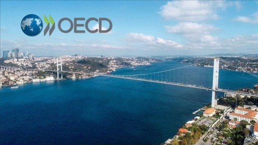 OECD, Türkiye ekonomisinin bu yıl yüzde 2,9 büyüyeceğini tahmin etti