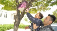 Öğrenciler kuşlar için ağaçlara yuva yaptı