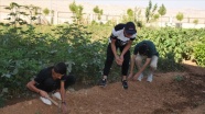 Öğrencilerden okul ve pansiyon bahçesinde meyve sebze üretimi