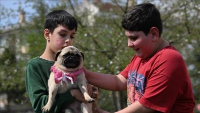 &Ouml;ğretmenlerin sahiplendiği k&ouml;pek, otizmli &ouml;ğrencilere adeta terapi oldu