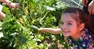 Okul bahçesinde organik tarım
