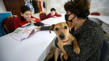 Okul müdürünün köpeği "Tarçın" engellilerin sınıf arkadaşı oldu