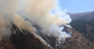 Oltu’da orman yangınında 20 hektar alan kül oldu