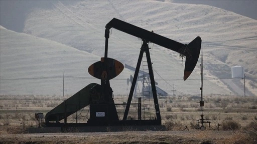 OPEC’in ham petrol üretimi haziranda günlük 220 bin varil arttı