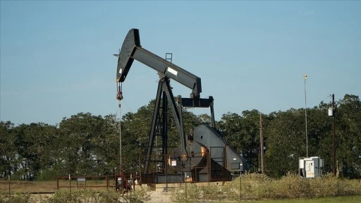OPEC'in ham petrol üretimi martta günlük 78 bin varil azaldı