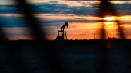 'OPEC'in üretim kesintisi kararı petrol piyasasını olumlu etkileyecek'
