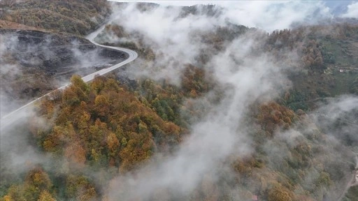 Ordu'da etkili olan sis sonbahar renkleriyle güzel görüntü oluşturdu