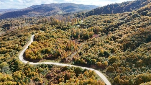 Ordu'da sonbaharın renkleri havadan görüntülendi