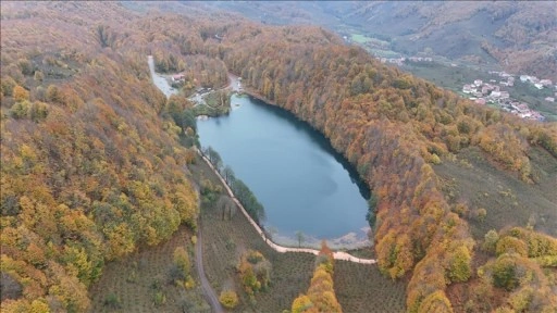 Ordu'daki Ulugöl Tabiat Parkı sonbahar renklerine büründü