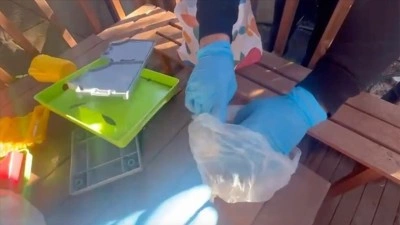 Organize su&ccedil; &ouml;rg&uuml;tlerine y&ouml;nelik 12 ildeki operasyonlarda 109 ş&uuml;pheli yakalandı