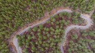 Orman Genel Müdürlüğünün Akdeniz Ormanları Projesi dünyada ilk 5&#039;te