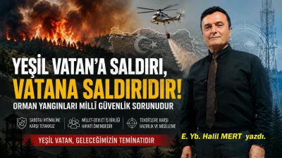 Orman yangınları ve Yeşil Vatan g&uuml;venliği: Milli g&uuml;venliğin yeni cephesi -E. Yarbay Halil Mert yazdı-