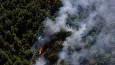 Orman yangınlarına en &ccedil;ok 'ihmal' sebep oluyor