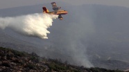 Orman yangınlarında 8 bin hektar alan zarar gördü