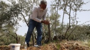 Ormanlara 25 yılını veren Mardinli, emekliliğinde de ağaçları aşılamaya devam ediyor