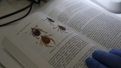 Orta Doğu'daki kene t&uuml;rlerinin &ouml;zellikleri kayıt altına alındı