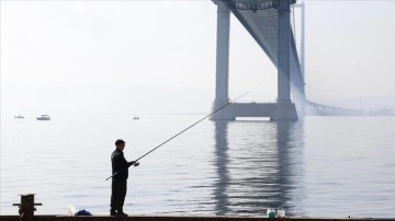 Osmangazi Köprüsü'nün altı olta balıkçılarının uğrak yeri oldu