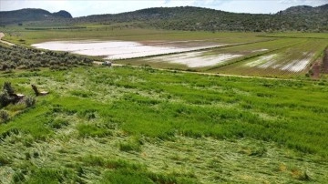 Osmaniye'de sağanak ve dolu, tarım arazilerine zarar verdi