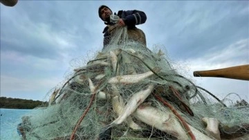 Osmaniye'deki balıkçılar av yasağı öncesi son ağları atıyor