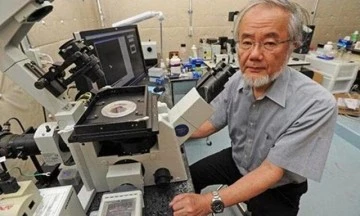 Otofaji Doktrini - N&ouml;rodejeneratif hastalıklar kanser, N&ouml;ropatik hastalıklar -Dr. Erdem Ulaş yazdı-