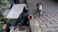 Oturuşuyla ünlenen kedi Tombili'nin heykeli açıldı