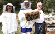 Pandemide bal ve arı ürünlerine ilgi yüzde 300 arttı