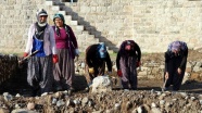 Payas'taki arkeolojik kazılar bölgedeki kadınlara kazanç kapısı oldu