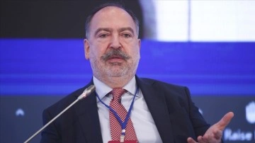 Pegasus Yönetim Kurulu Başkan Vekili Mehmet Nane, IATA Yönetim Kurulu Başkanı oldu