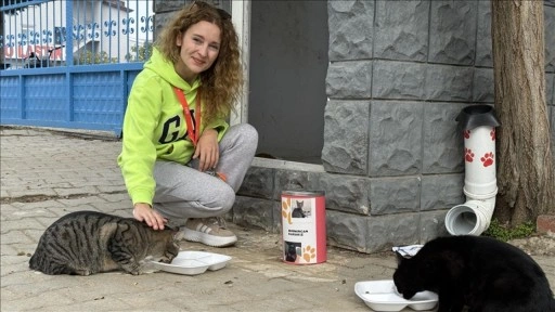 Pelin öğretmen 11 yıldır "çocuklarım" dediği kedileri besliyor