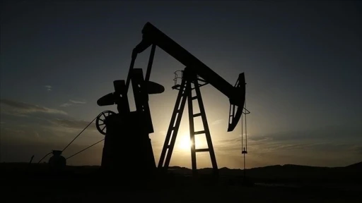 Petrol hakkına müteallik karar