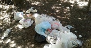 Piknikçiler Uludağ'ı çöplüğe çeviriyor