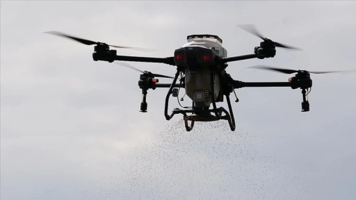 Pirinç üretimiyle öne çıkan Osmancık'ta dronla çeltik ekimi yapılıyor