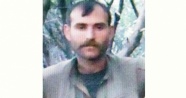 PKK'nın sözde bölge komutanı Bursa'da yakalandı