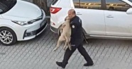 Polisten yaralı sokak köpeğine şefkat eli