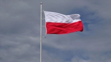 Polonya, AB'nin elektrik kullanımında zorunlu kesinti önerisine karşı çıktı